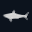 Tiburon logo