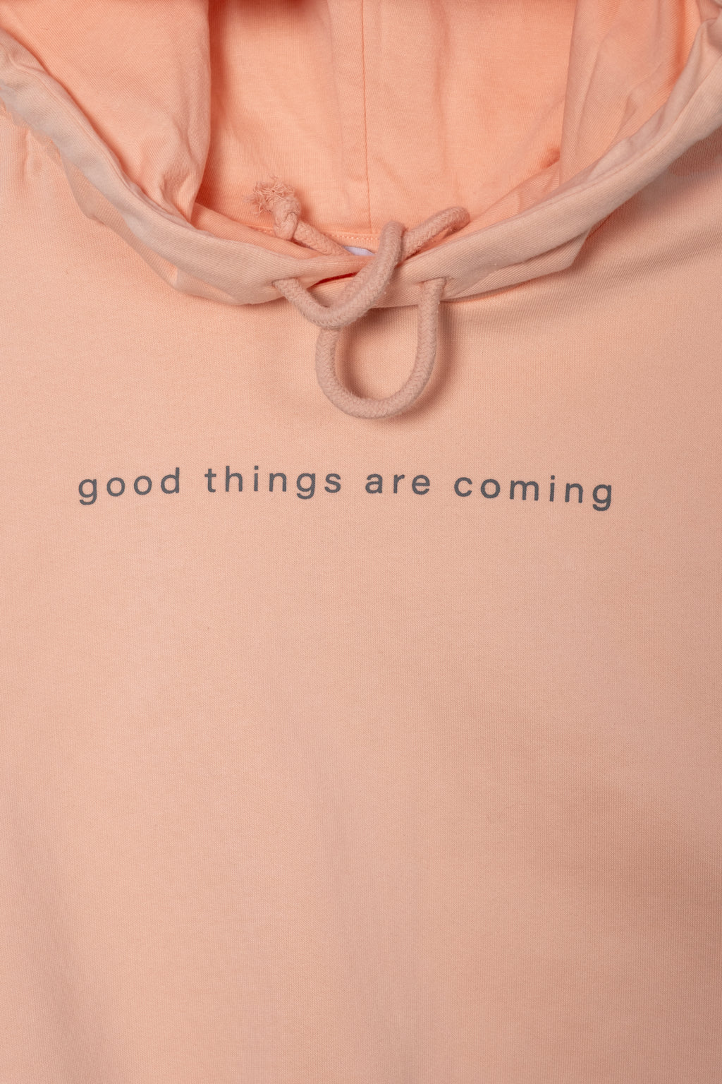 Kadın Kapüşonlu Kolsuz Crop Hoodie