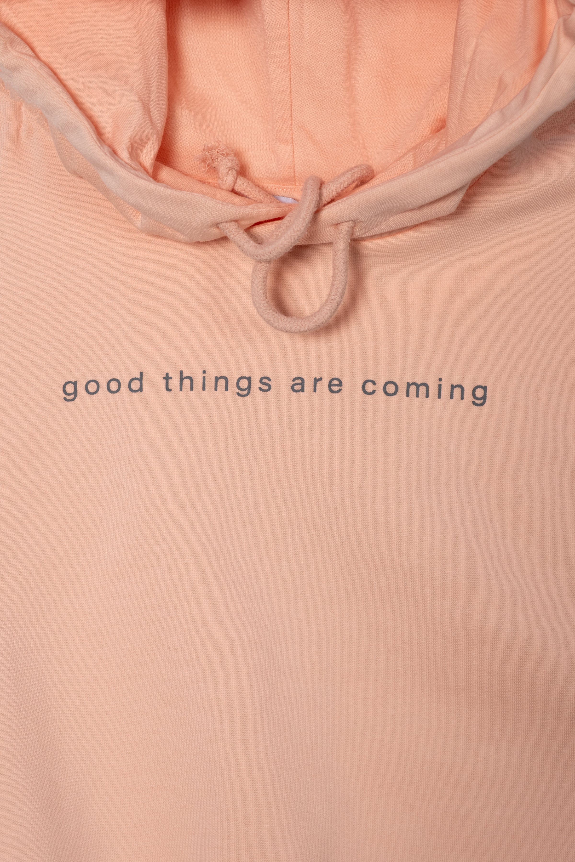 Kadın Kapüşonlu Kolsuz Crop Hoodie